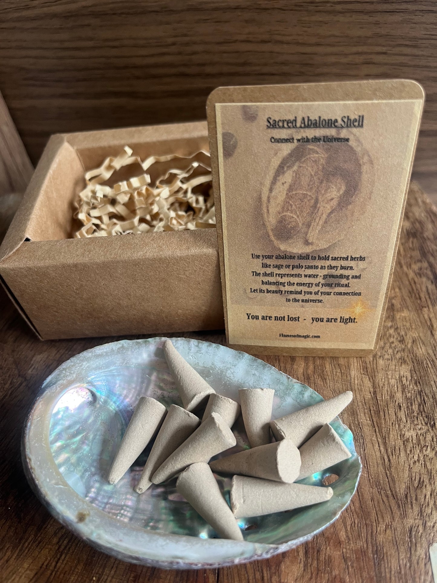 Sacred Natural Raw Abalone Shell 9-10 cm Rituals