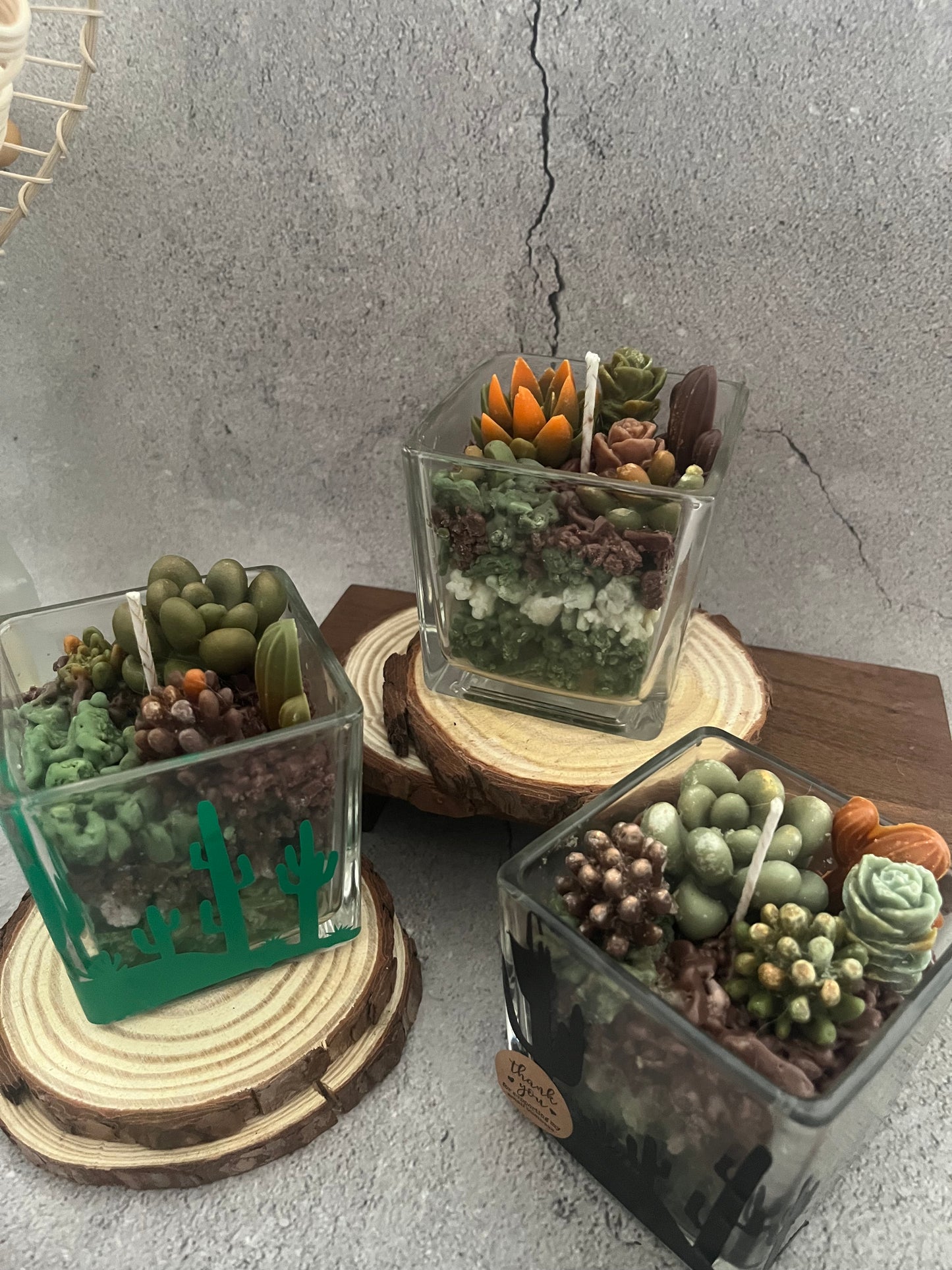 Soy Wax Candle Succulent Garden in cube jar