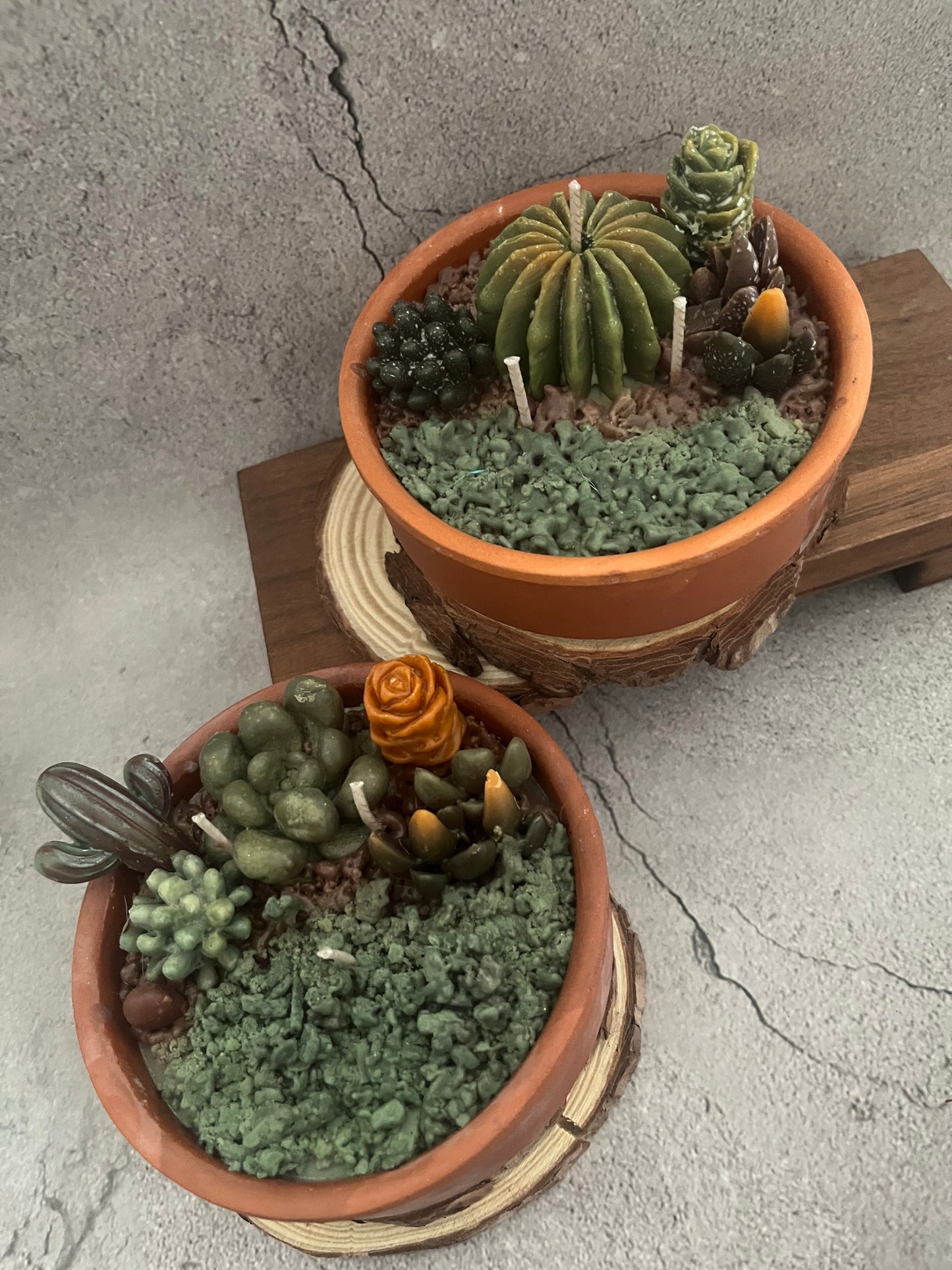 Soy Wax Succulent plants candle