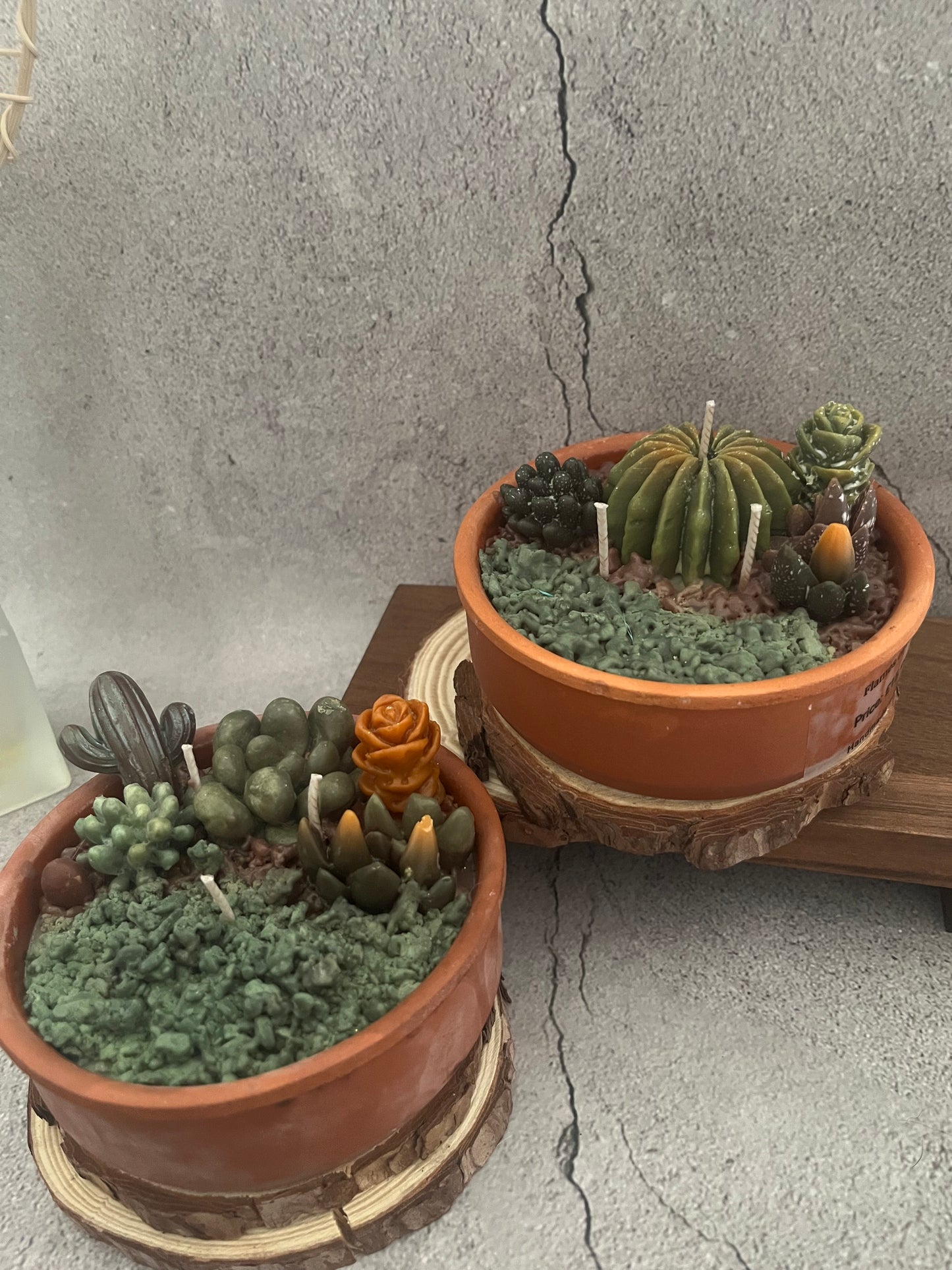 Soy Wax Succulent plants candle