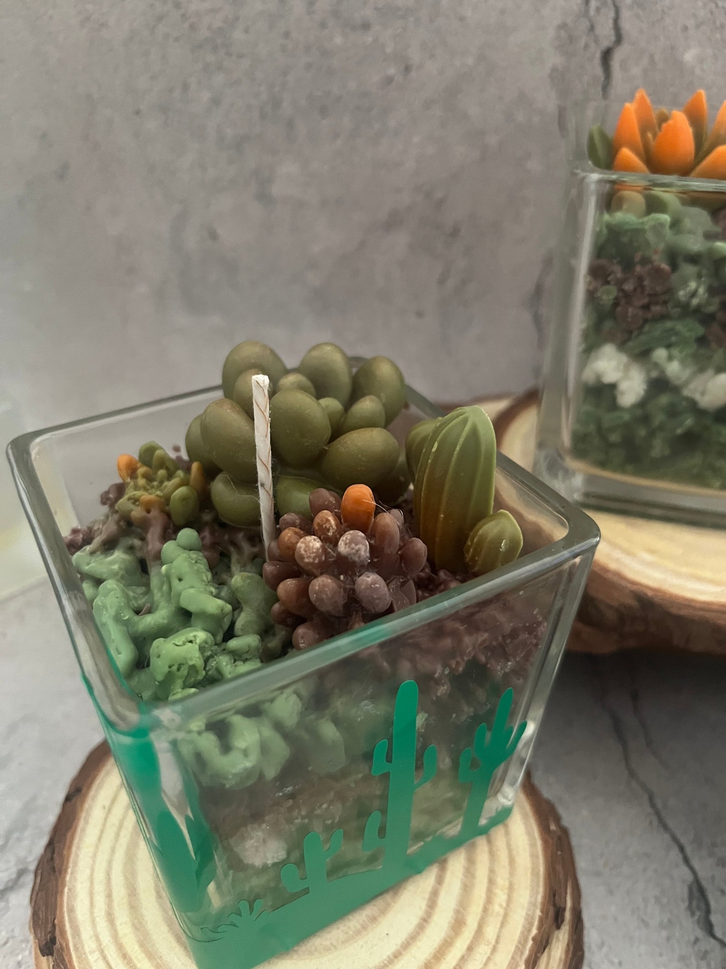 Soy Wax Candle Succulent Garden in cube jar