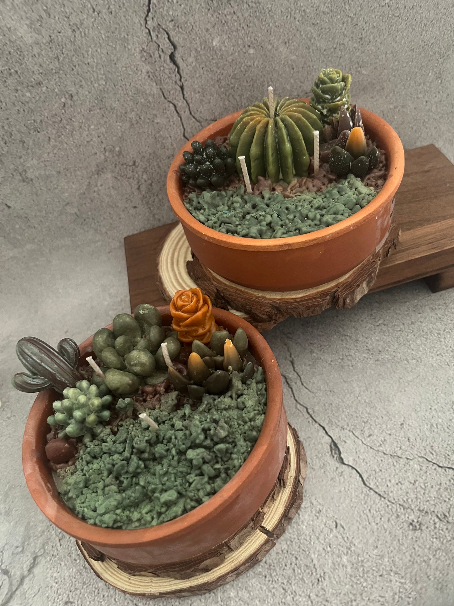 Soy Wax Succulent plants candle