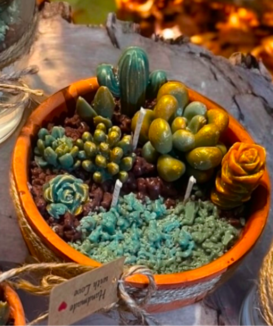 Soy Wax Succulent plants candle