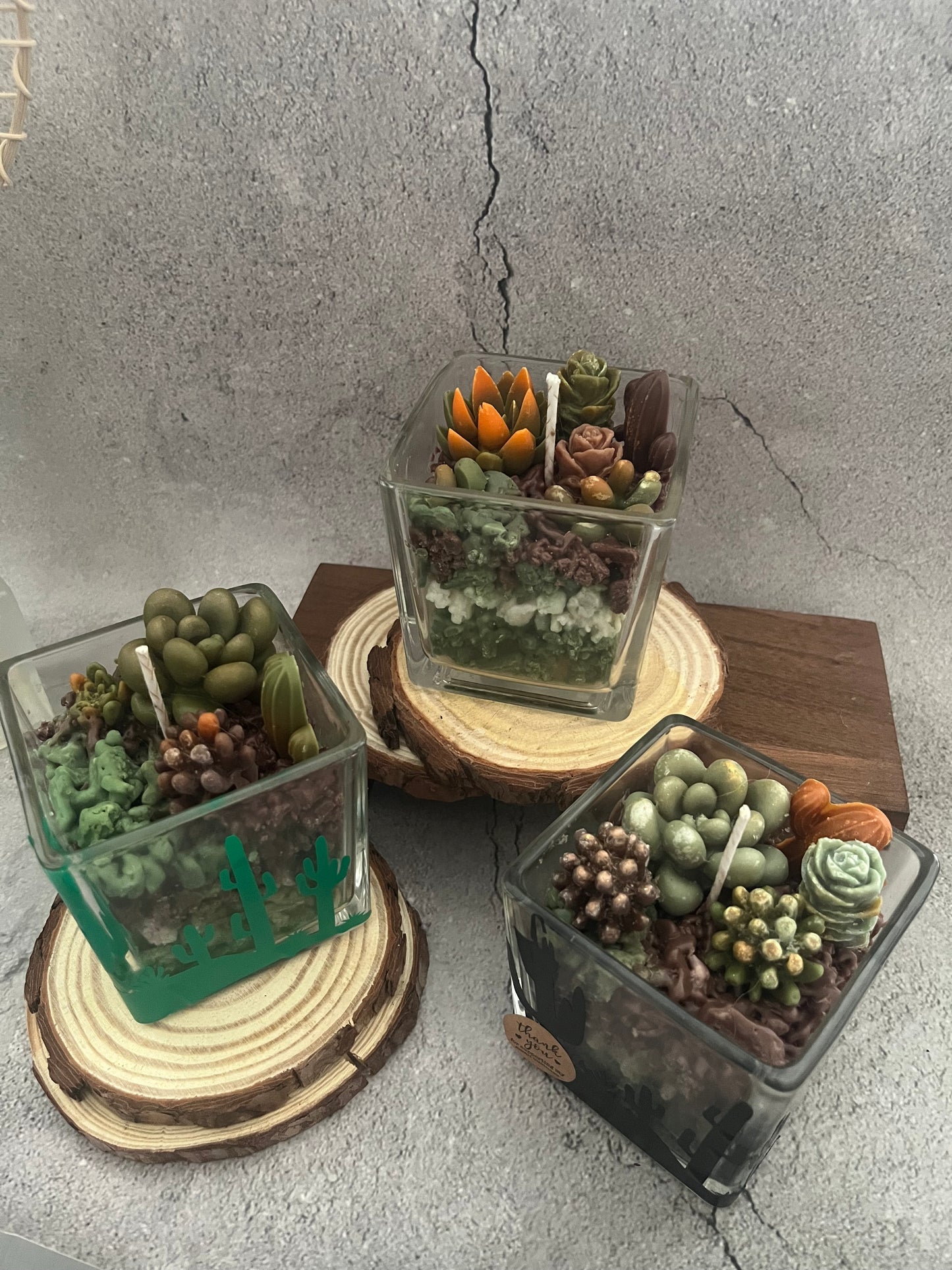 Soy Wax Candle Succulent Garden in cube jar