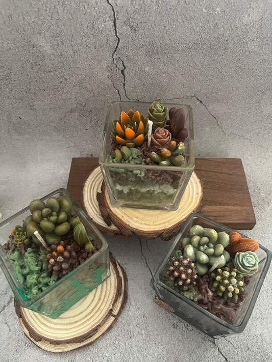 Soy Wax Candle Succulent Garden in cube jar