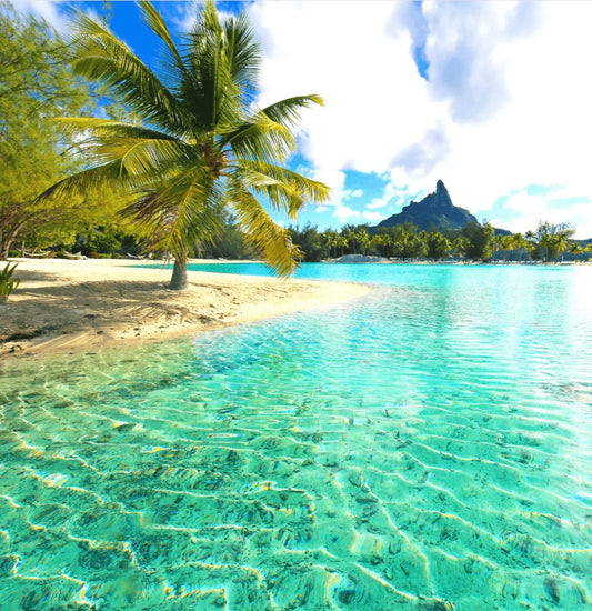Bora Bora Fragrance Oil